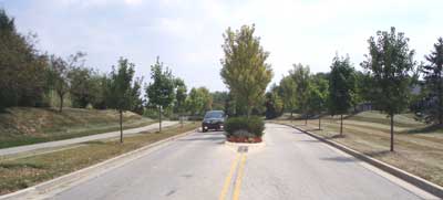 Condensed Willow Road Median
