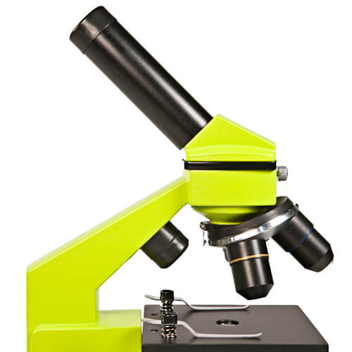 Microscope